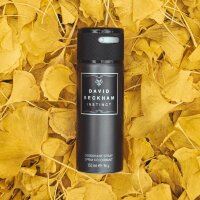 Антиперспирант аэрозоль David Bekham (демо)